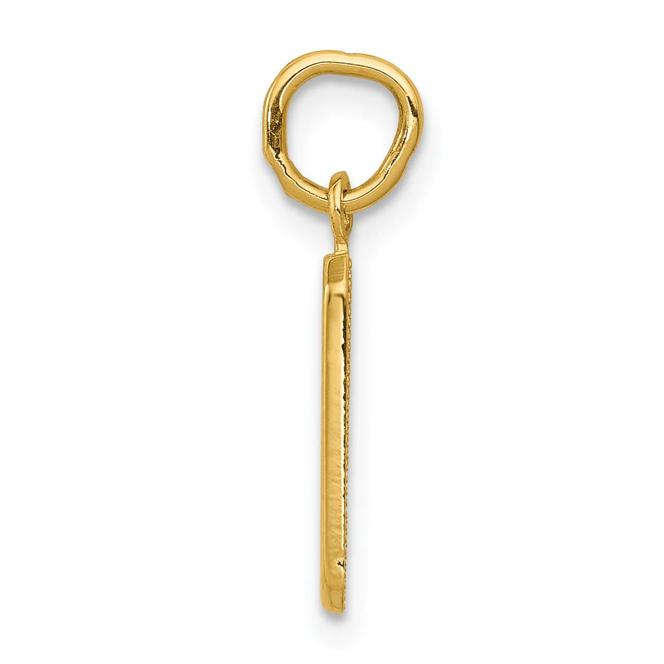 14k yellow gold small polished number 9 charm