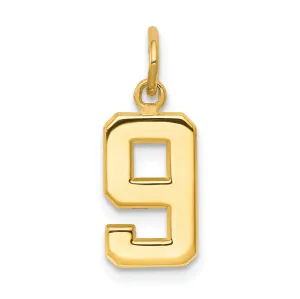 14k yellow gold small polished number 9 charm