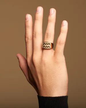 Aquarius Gold&Bold mens ring