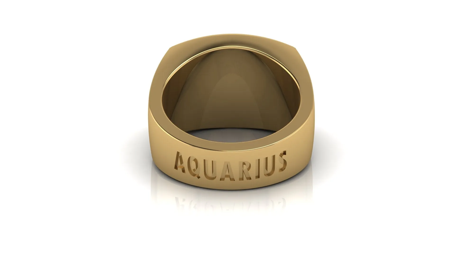 Aquarius Gold&Bold mens ring