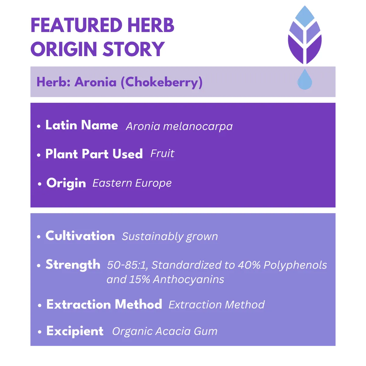 Bold Elderberry Elixir