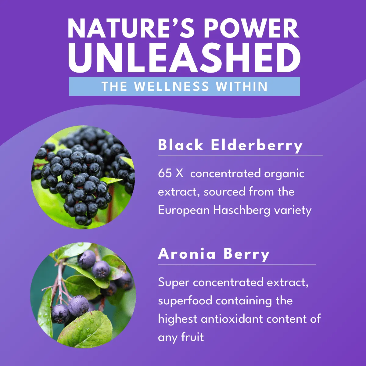 Bold Elderberry Elixir