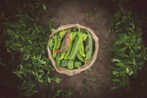 Photography: Hatch Green Chile