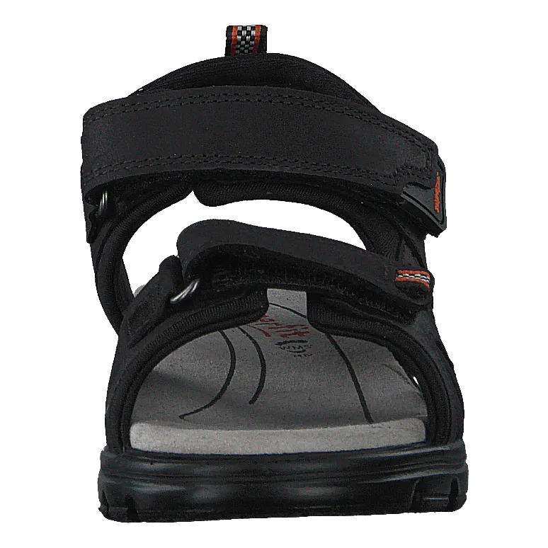 Scorpius Black