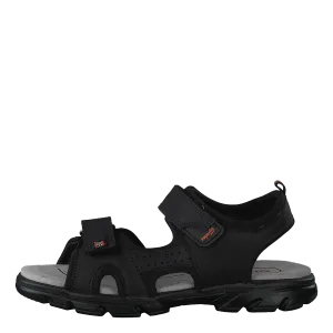 Scorpius Black