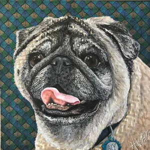 Sly - Pug