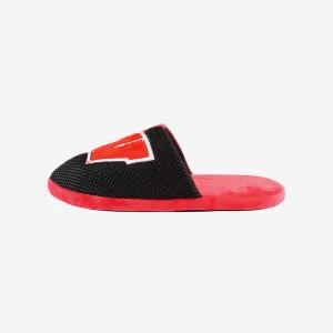Wisconsin Badgers Team Logo Staycation Slipper